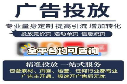 SEM代理服务：助力企业精准营销案例解析